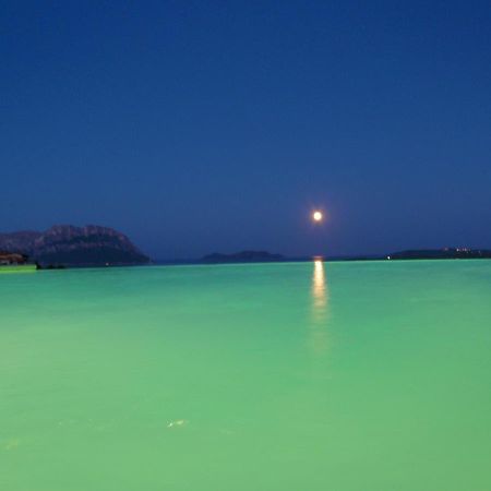 Villa And Pool Tavolara View Porto Istana Exterior foto