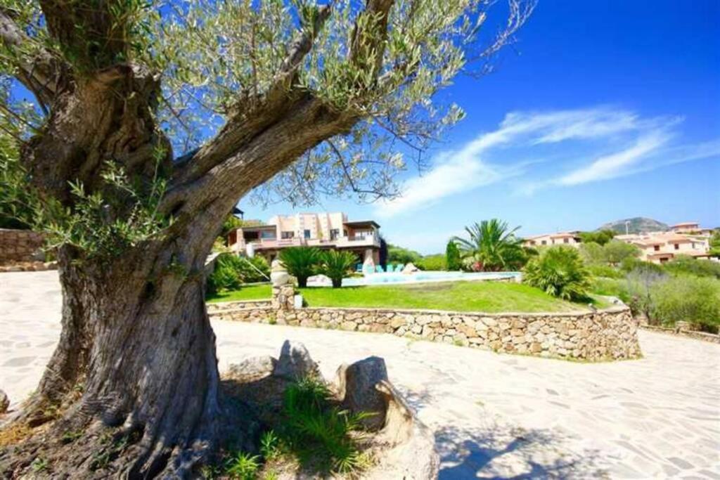 Villa And Pool Tavolara View Porto Istana Exterior foto